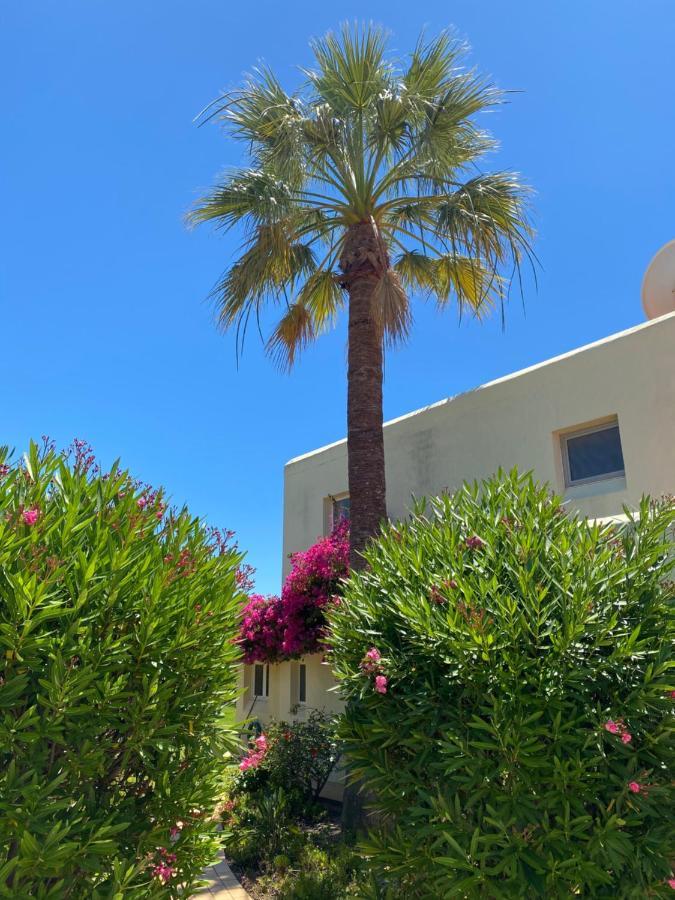 卡武埃鲁Casa Sacha别墅 外观 照片